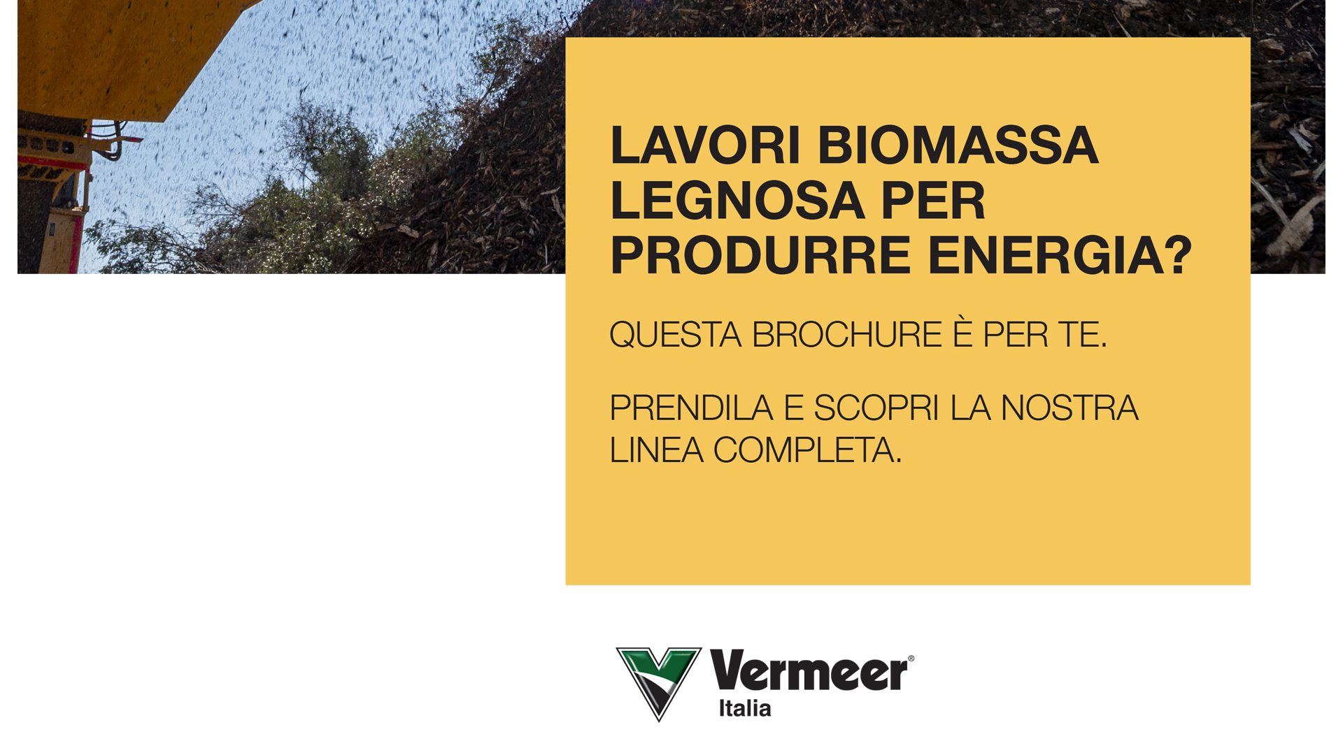 Biomassa Brochure